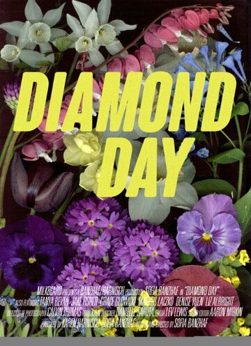 Diamond Day (2015)